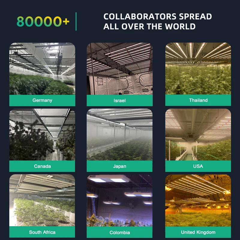 LEDILAND 800w New Full Spectrum LED Grow Light Indoor Plants SAMSUNG Evo lm301h 301b281B 650w IP65 Bloom Free Shipping USA Stock