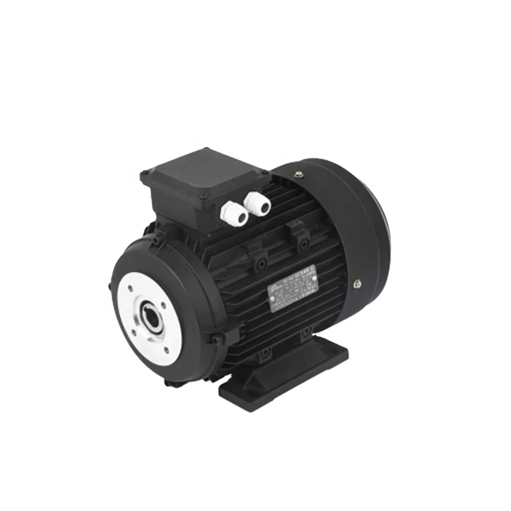 Reliable Hollow Shaft Electric Motors for Pump Head Connections