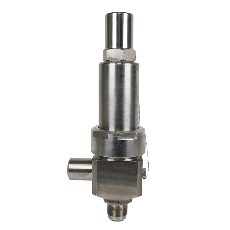 Quality Assured 1.4408  Safety Valve High Pressure SS316  Stainless steel safety valve steam boiler safety valve