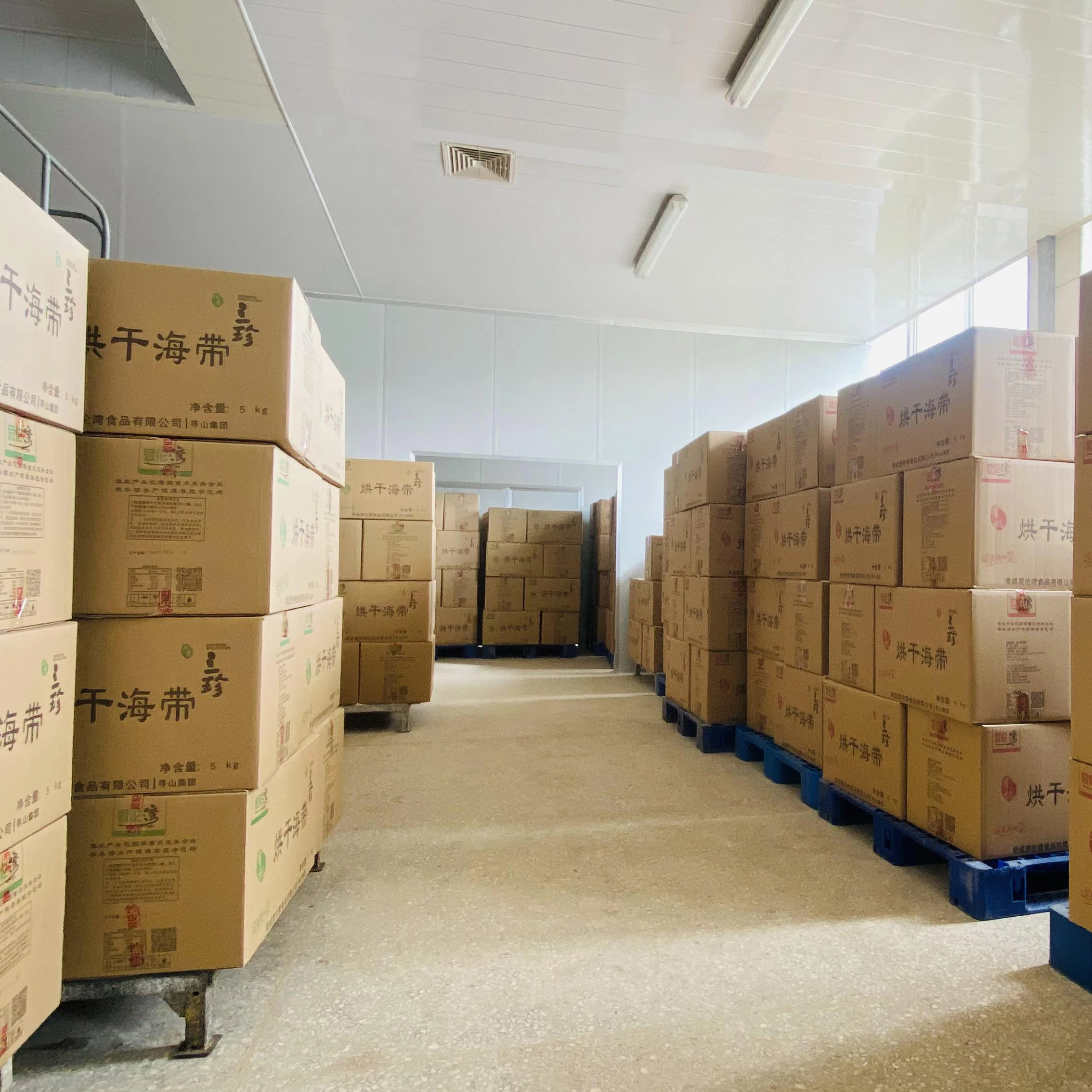 Premium Dried kelp wholesale laminaria seaweed kombu