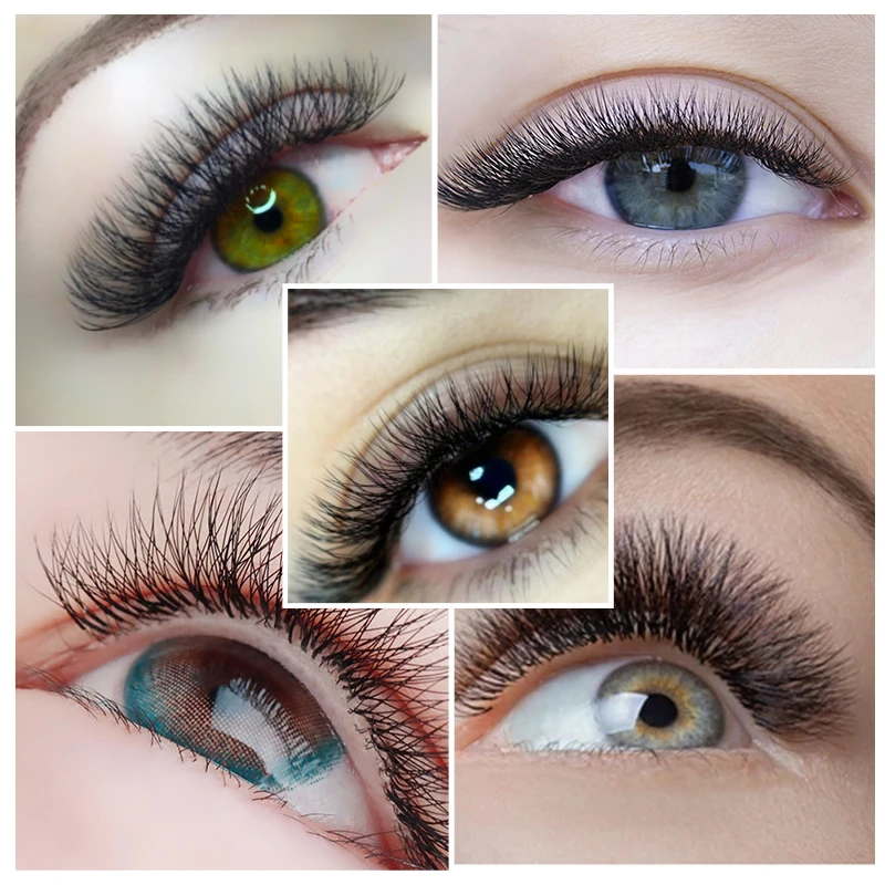 Yelix W lashes 005 Style Volume Lashes Eyelash 0.07mm C Curl Korean PBT W Clover Lash Extensions