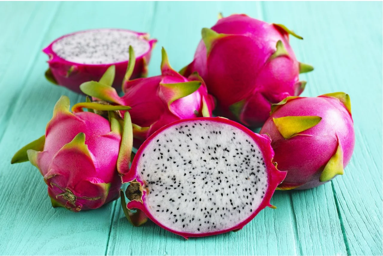 FRESH DRAGON FRUIT EXPORT TO INDIA /+84 901445086