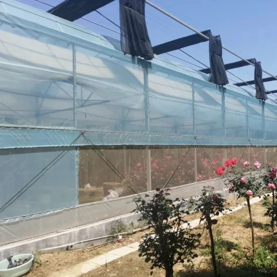 Aquaponic greenhouse poly film plastic greenhouse aluminium frame