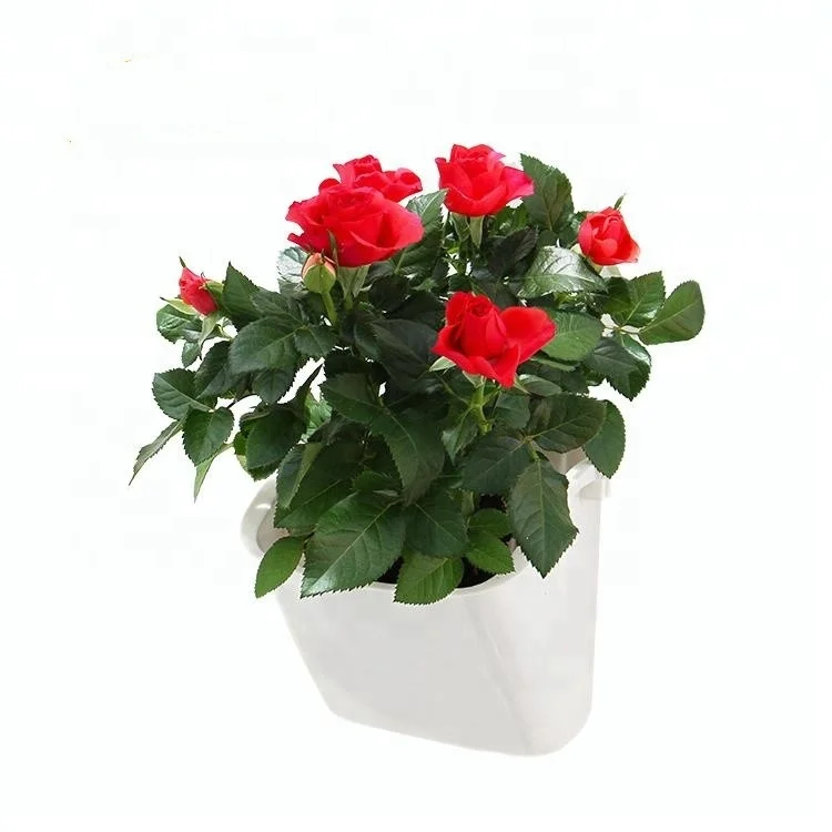 
Flower biodegradable garden vertical wall planter 