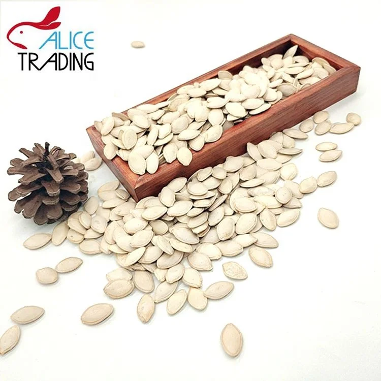 
Chinese Factory Direct Wholesale Shine Skin Pumpkin Seeds 