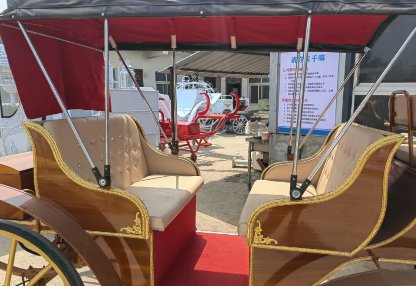 Customized European Sightseeing Carriage Electric EXW Wooden Seat Hot Selling High Quality Special Transportation 2024 Fangyu