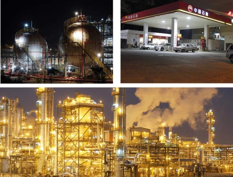Explosion-proof Lights Maintenance-free Flood Light Exdemb II CT6 Anti-Corrosion Rating WF2 Gas Station Ceiling Lamp