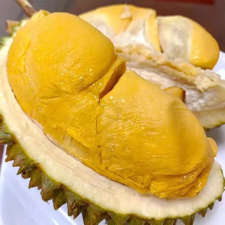 Food Grade Frozen Fruit Pulp 100% Natural Vacuum Packing Durian from Malaysia