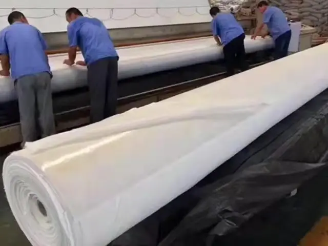 1mm 2mm Pond Pool Liner Dam Linner Biodigester Landfill Geomembranas HDPE Geomembrane for Sale with Factory Price