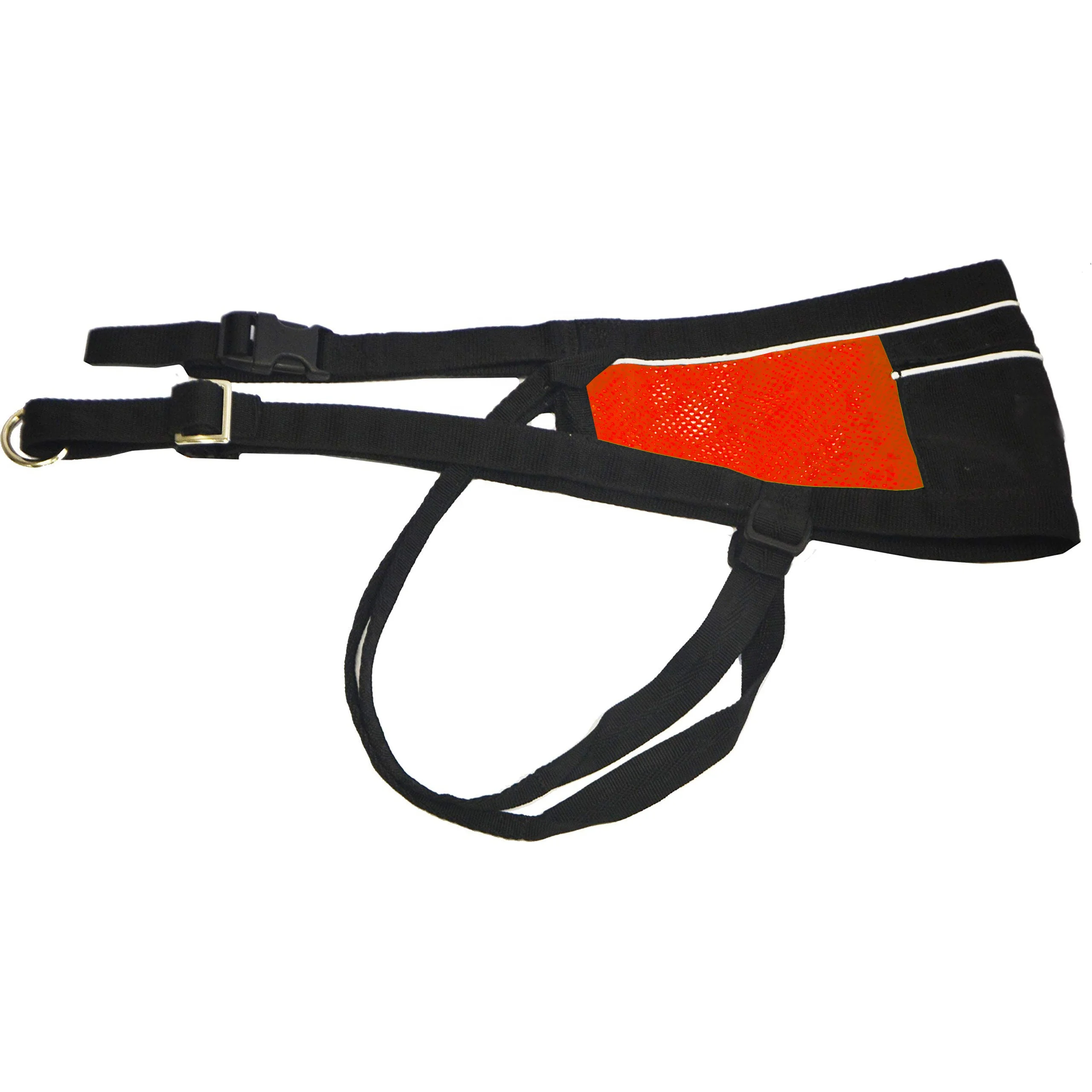 Double Hook Hands free Elastic Running Dog Lead Husky Mushing Exercise Bikejoring Dog Canicross Skijoring Bag Running Belt