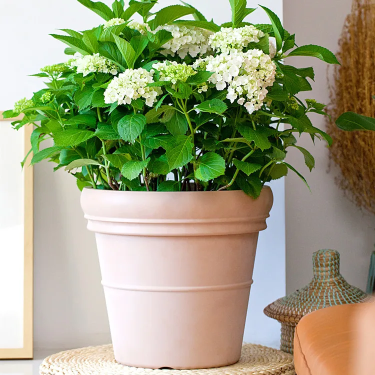 China Cheap Wholesale Modern Small  Large Gold Custom Outdoor Flower Planter Plastic Plant Pots Suppliers
