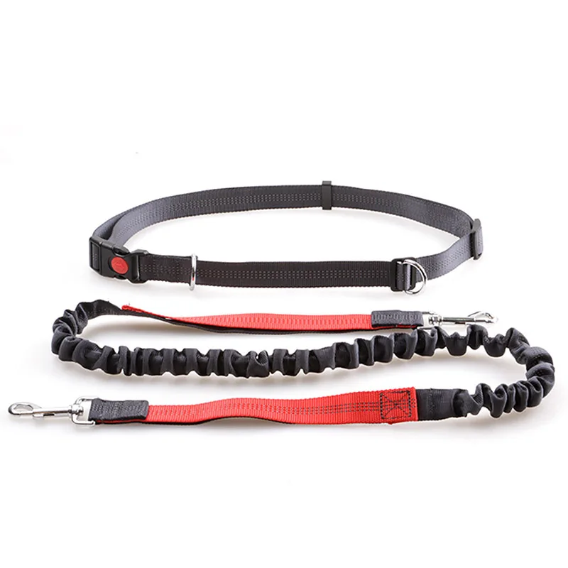 Freis prec heinrich tung Hunde leine zum Laufen Laufen Hund führen Hund Lauf leine
