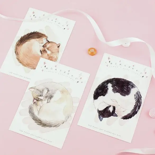 the cat sleep all day theme creative box postcard set