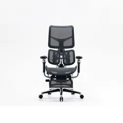 Deluxe office furniture desk and chair set ergonomic chair donati office chair