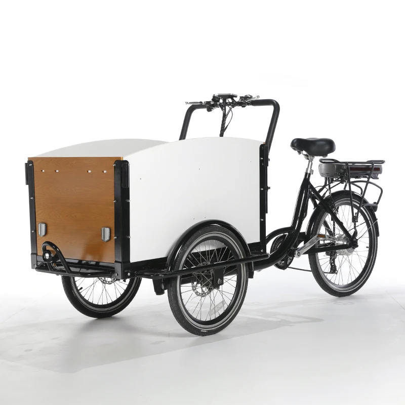 250W motor Electric Cargo Bike Dog Care Cargo Bike 3 Wheel Family Adult Bicycle Tricycle with front loading box
