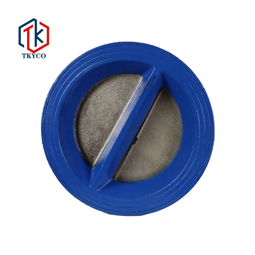 Taike Cast iron Cast Steel Stainless Steel Wafer Type Butterfly Spring Check Valve