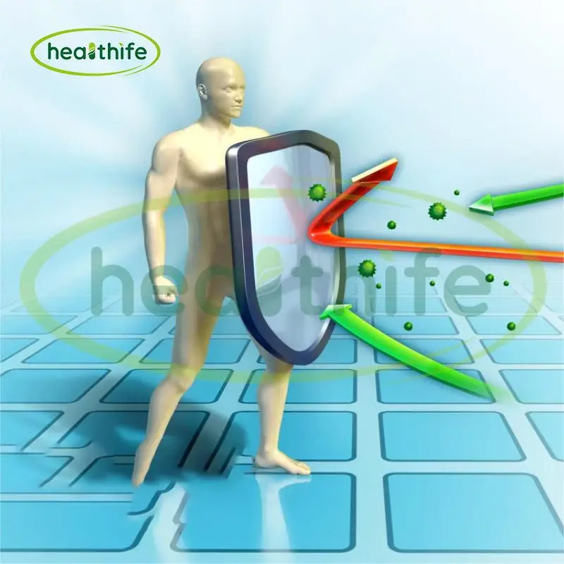 Healthife 10:1 20:1 Organic Maitake Mushroom Extract Powder