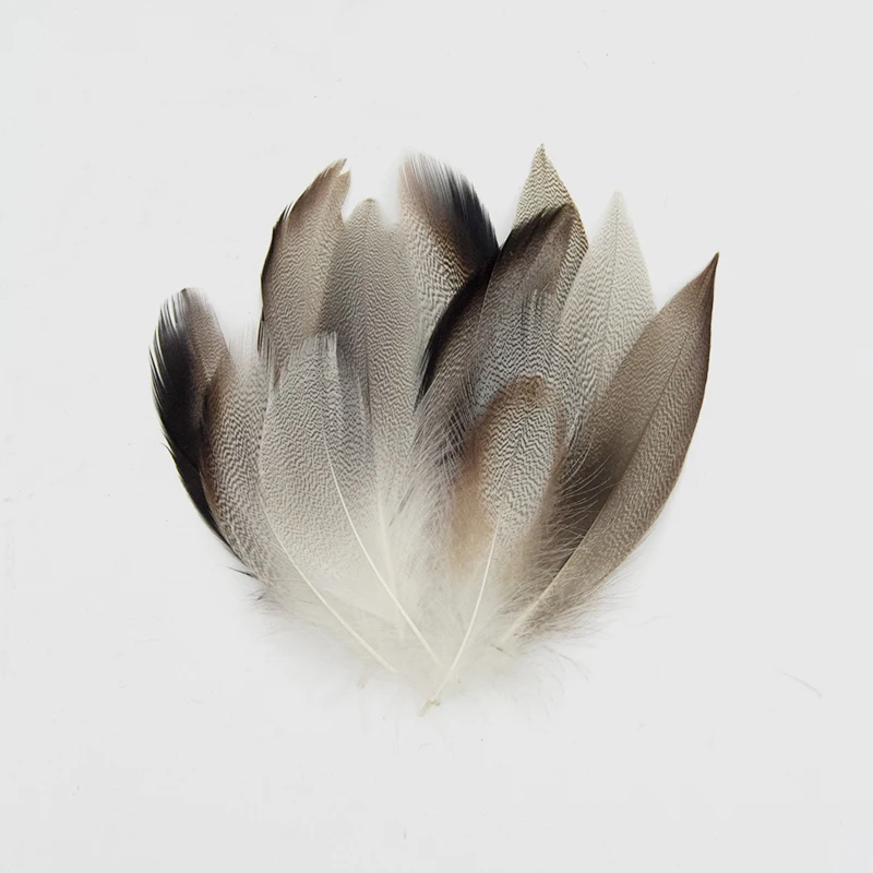 8-15cm 100% Natural Color Cheap Feathers Plumas Duck Feather For Crafts Carnival Costumes Accessories