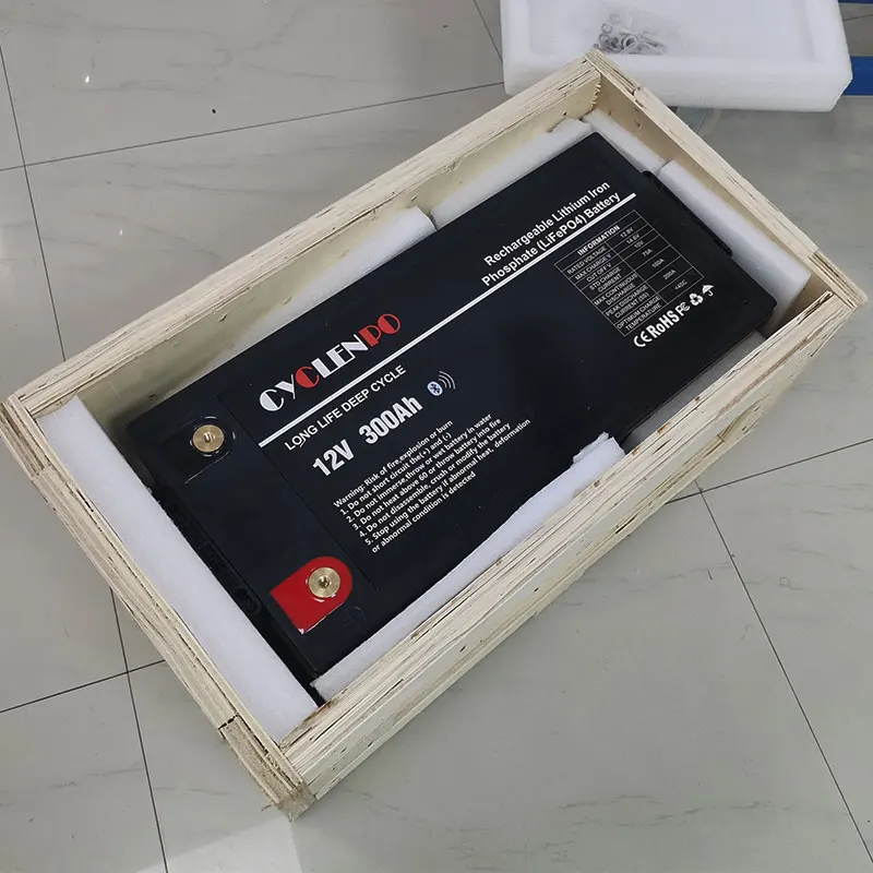 High quality with bms lifepo4 battery BT 12v 300ah hour for camping car motorhome