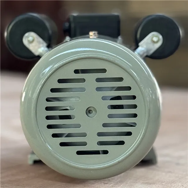 Capacitor starting single phase YC electric motor