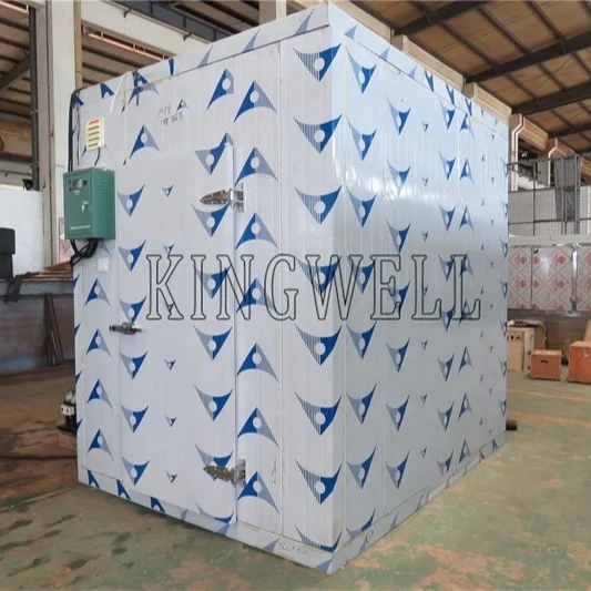 Stable condensing unit cold room,fish cold storage