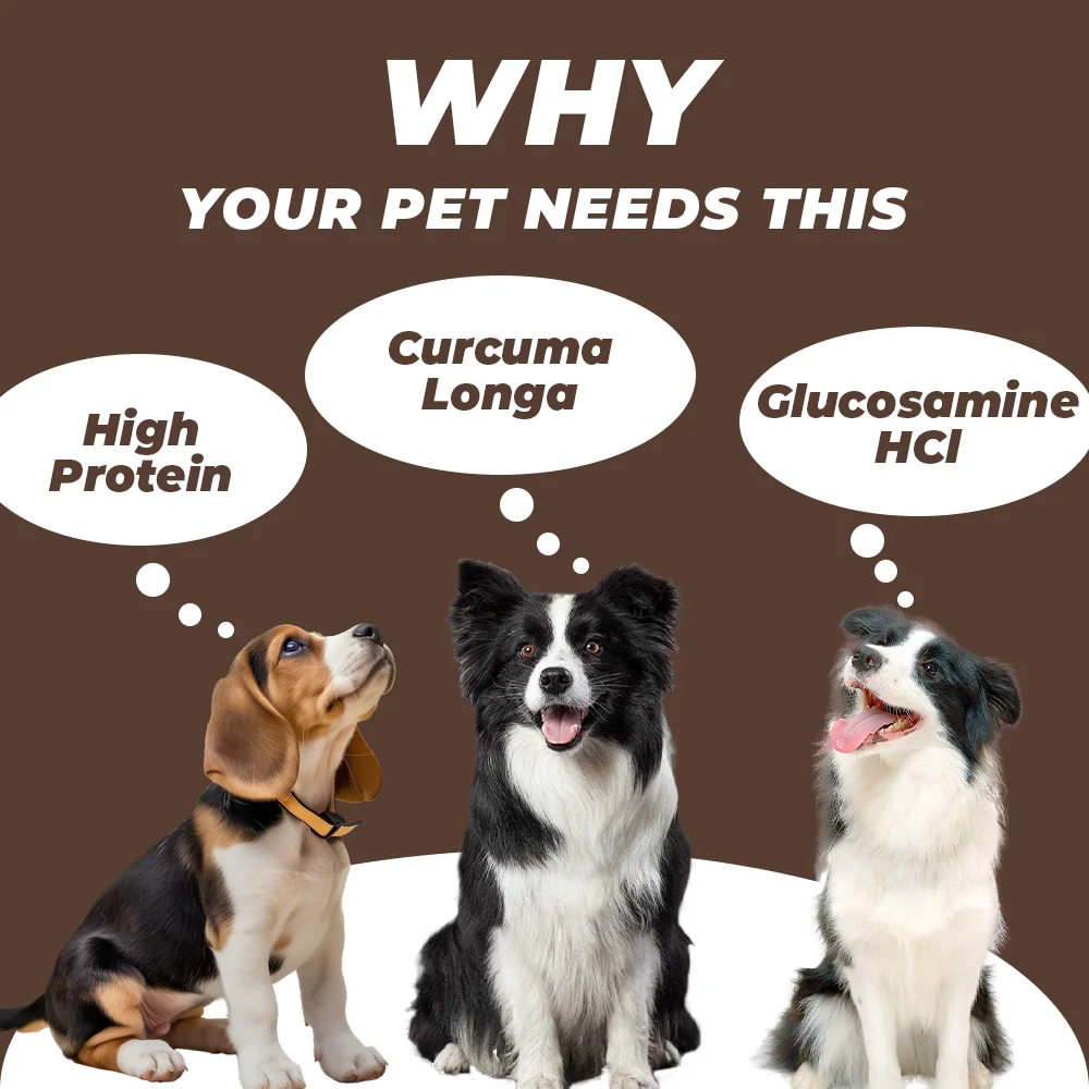 OEM/ODM High Protein 11-in-1 Muscle Gain Soft Dog Chews Premium Supplement for All Breeds Cats 11-in-1 Application Powder Form