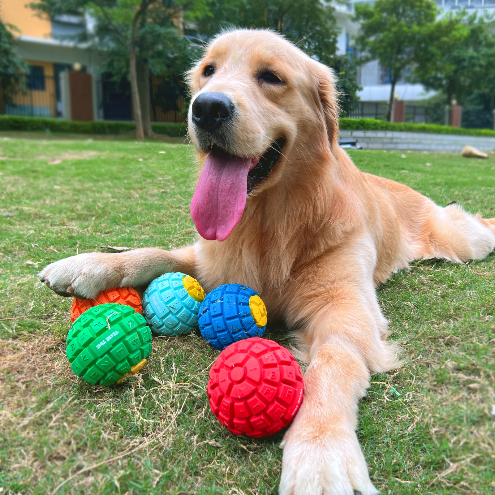 2024 new design Rubber elastic bite resistant and vocalizations for large dogs grinding teeth to relieve boredom Pet dog toy