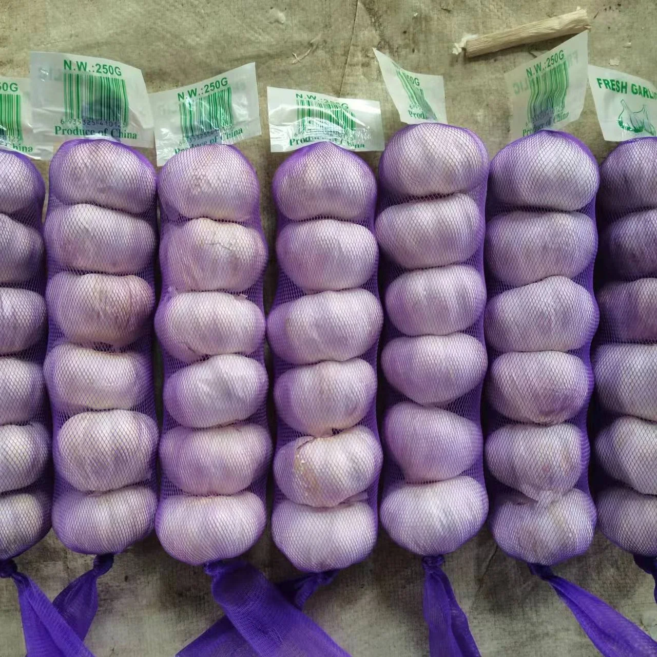 Import shan dong garlic 10kg box/2024crop with high quality