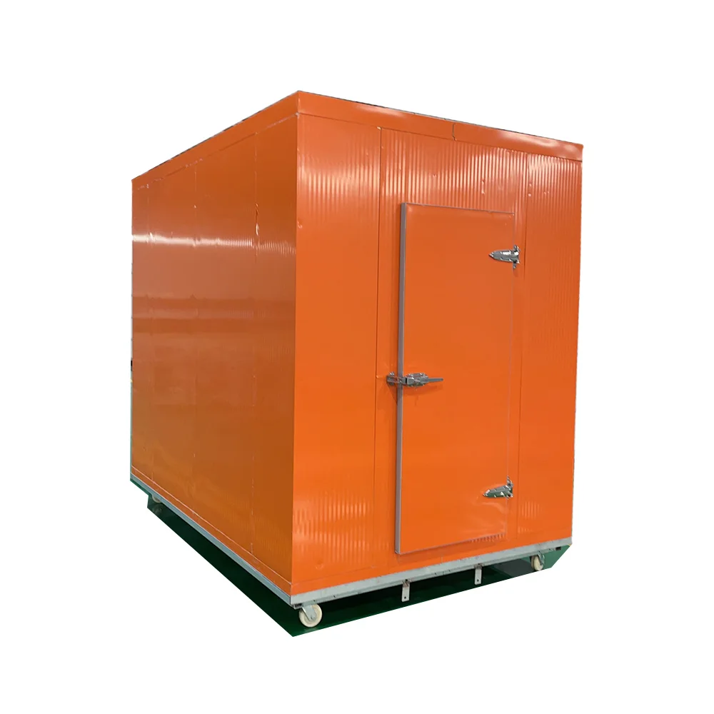 Small Medium Large Cold Room, Cold Storage for Frozen Meat, Seafood, Vegetable and Fruits