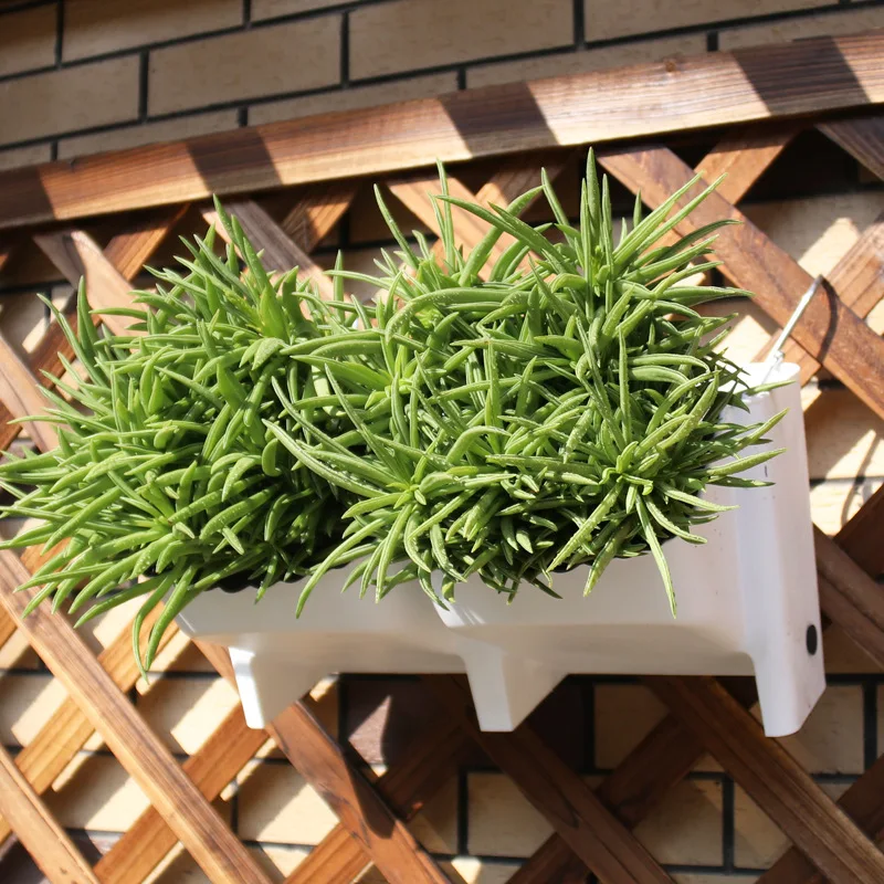 
Vertical Garden Pot Wall Hanging Plastic Flowerpot 