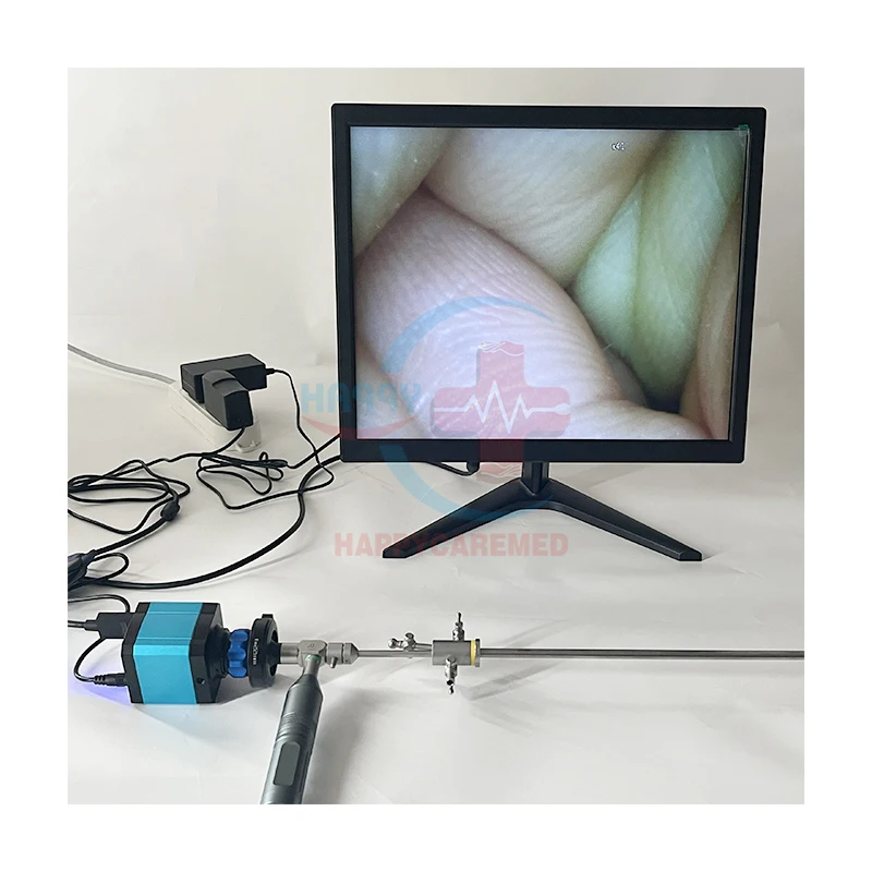 HC-R058F Desktop Visual TCI Canine Machine AI Gun Veterinary Transcervical Artificial Insemination Gun for Dog