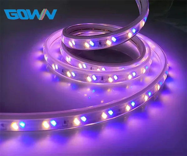 AC220V Dual Color Flexible CCT Adjustable  88 Leds/Meter IP67  IP68 Function SMD5730 LED Strip For Outdoor