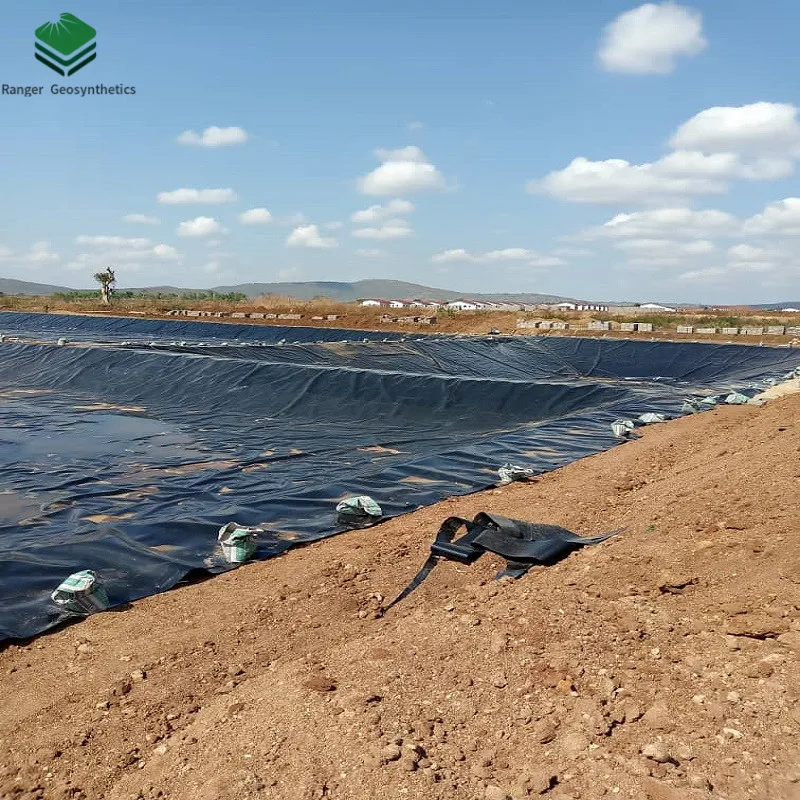 Китай 2 мм HDPE производитель геомембраны