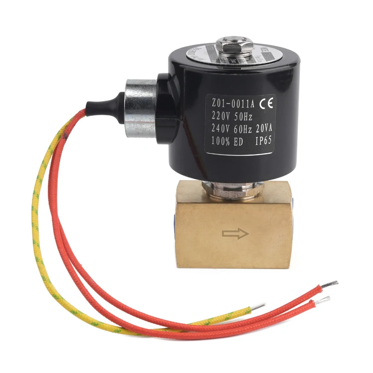 Hot Sell 1/2in 1in 2 inch Brass Valve 2 Way Steam High Temperature Pneumatic Valve 24V Dc 2 Way Solenoid Valve
