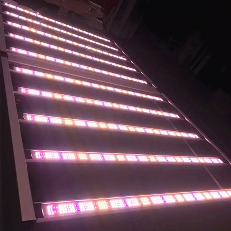 4*6ft 1000W Hydro LED Grow Light Strip Full Spectrum Commercial LED Grow Light Indoor Light for Tent Greenhouse