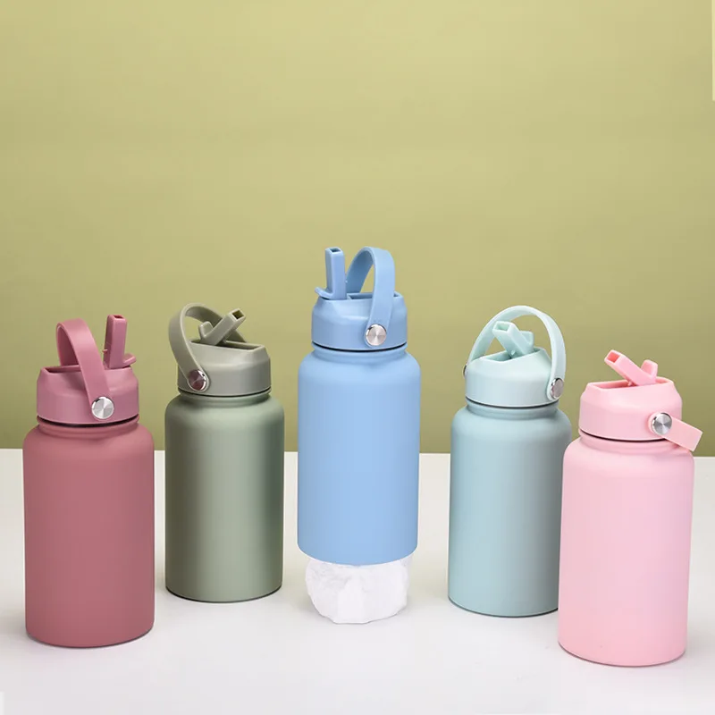 Custom Portable free Straw Large capacity 650ml  Wide mouth double wall stainless steel vacuum bottle handle Rubber paint