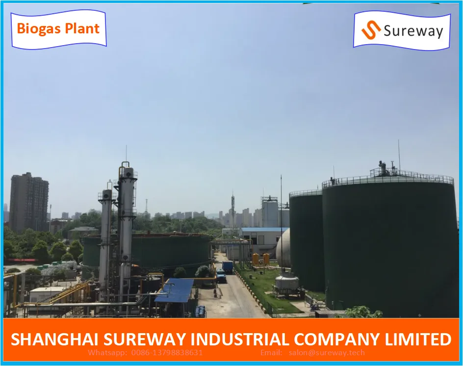Biogas System-Design and Construction