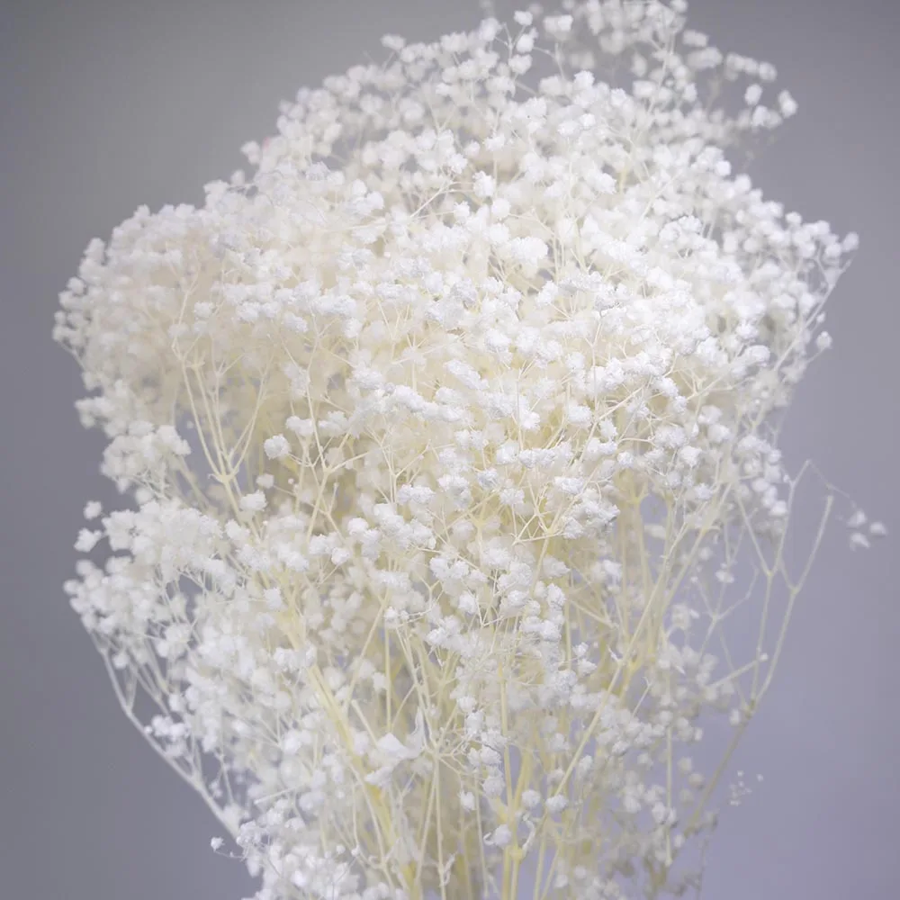 UKIQUEEN Wholesale 70cm Bleached White Decorative Dried Flowers Baby Breath Preserved Gypsophila