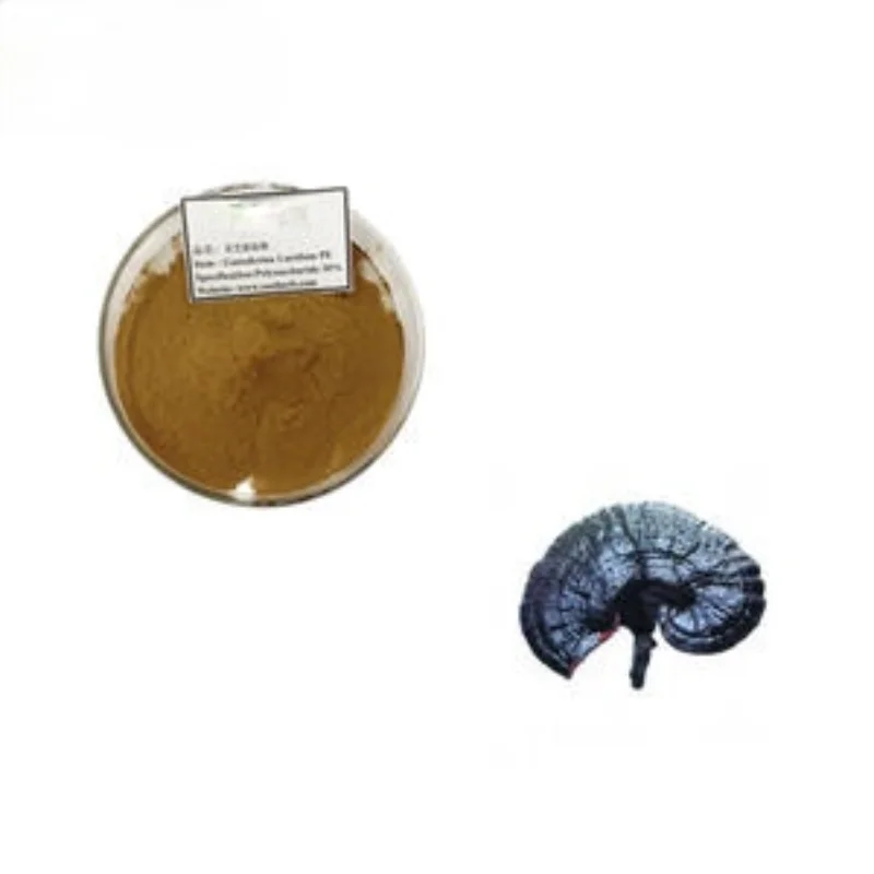 High Quality EU Organic Ganoderma Lucidum Spore Powder Capsule