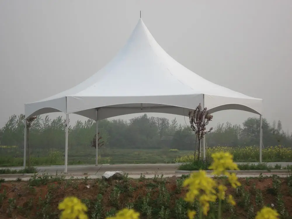 8 м диаметр Domo Geodesico Geodome шатер укрытие палатка с кафе для события на заднем дворе