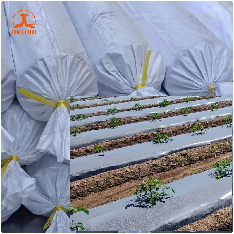 Factory supplier agricultural garden plants use degradable polyethylene film plastic mulch film