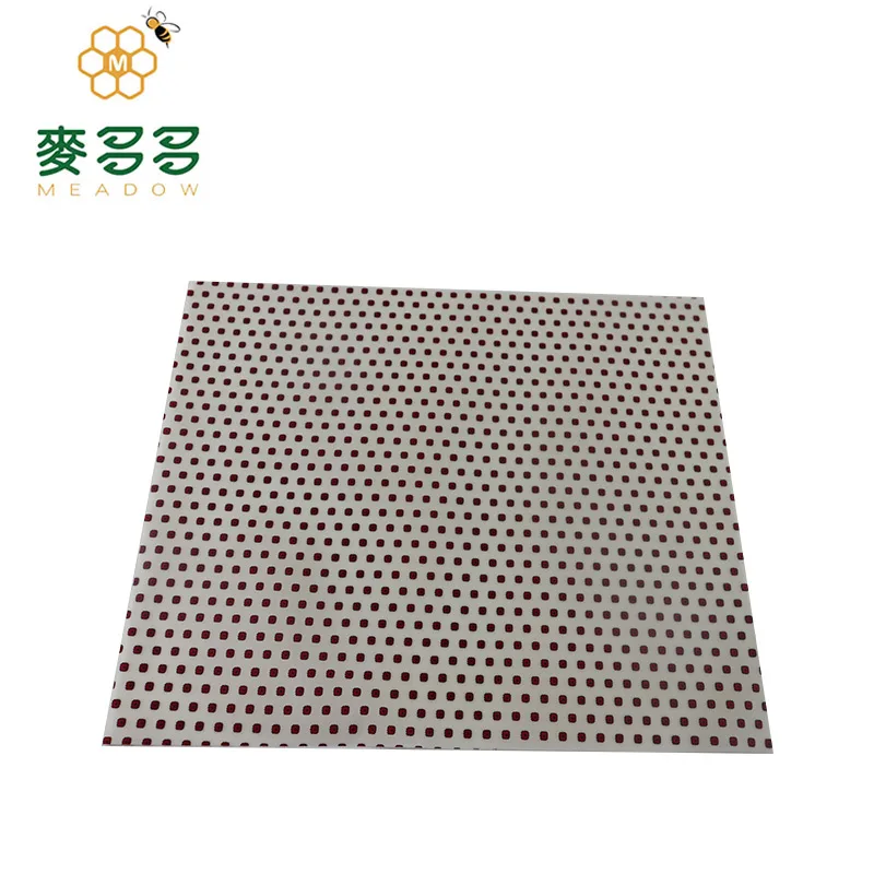 New arrival wholesale storage beeswax sandwich reusable food wrap