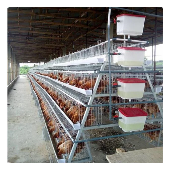 Клетки для цыплят бройлеров нового дизайна одобренные CE