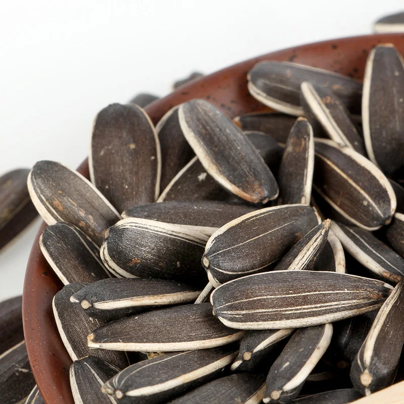 purple sunflower seeds pictures