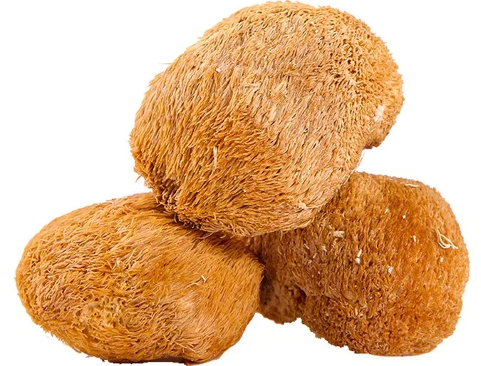 Органический экстракт Erinaceus гриб Hericium сушеные