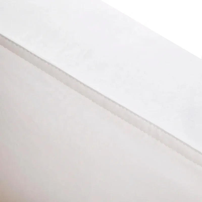 Factory Wholesale Custom 100% Cotton Duck Feather Down back Sofa Chair Seat Lumbar Pillows Outdoor Car Cushions for Home Decor