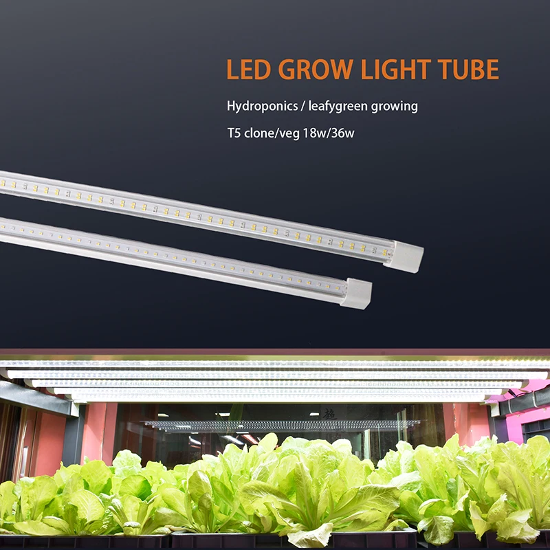 Vertical Farm Equipment Aeroponics System Hydroponic Grow Light Full Spectrum Led Grow Lights for Indoor Plants