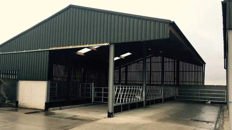 Low price project Long Span Structure Cow shed Prefab Steel Structure/ Dairy Cow Shed Farm Steel Structure