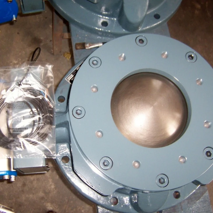 pneumatic Dome gate valve in stainless steel material