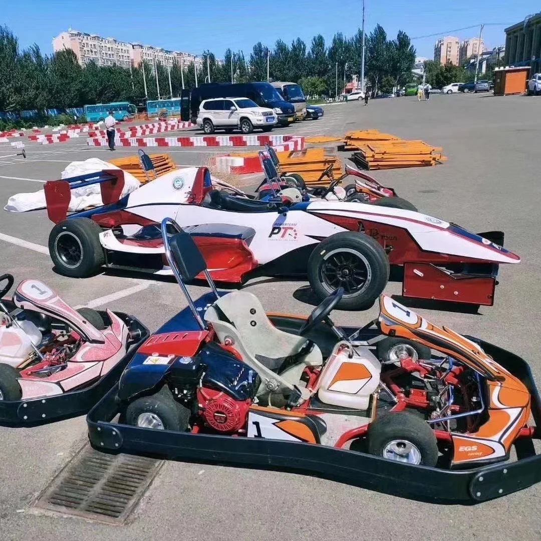  Новейший 200cc/270cc дешевый Взрослый гоночный карт для продажи со стальным защитным бампером сертификат